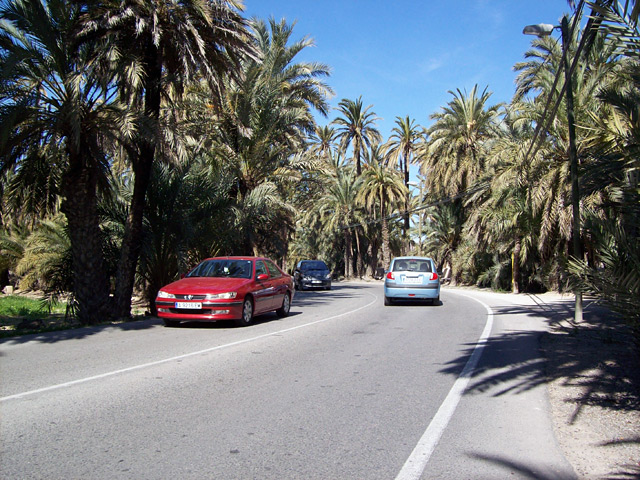 08.jpg
