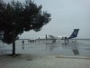 DSC01302.jpg