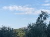 IMG-20190727-WA0000.jpg
