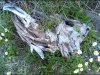 IMG_20191011_135956_516.JPG