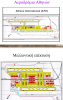 aia master plan (1) (1) (1) (1) (1).png