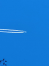 1707132185684.png