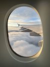 IMG_3002.jpeg
