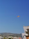 IMG_20250801_082910.jpg