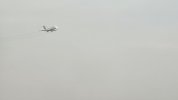 1000071505.jpg