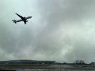 IMG_0082.jpeg