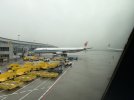 IMG_0085.jpeg