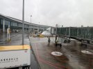 IMG_0086.jpeg