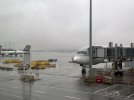 IMG_0088.jpeg