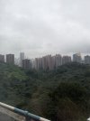 IMG_0100.jpeg