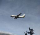 A319